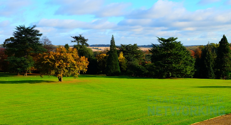 Countryside